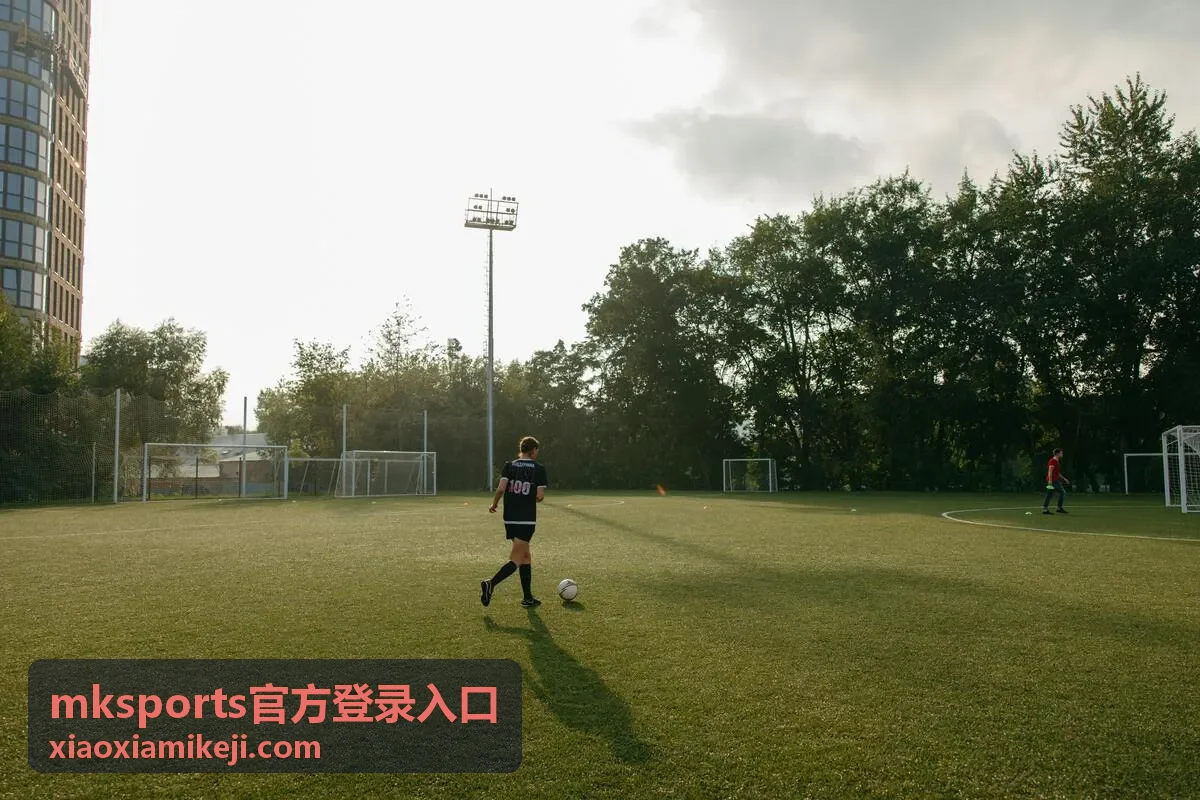 mksports官方登录入口专属赛前数据栏目封面